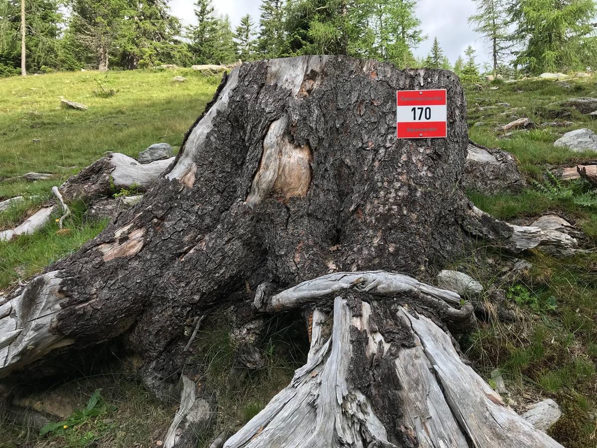 Simonbauerhof Villa Bad Kleinkirchheim Luaran gambar