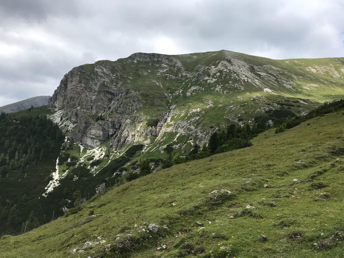 Simonbauerhof Villa Bad Kleinkirchheim Luaran gambar