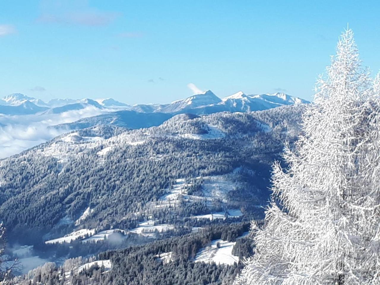 Simonbauerhof Villa Bad Kleinkirchheim Luaran gambar