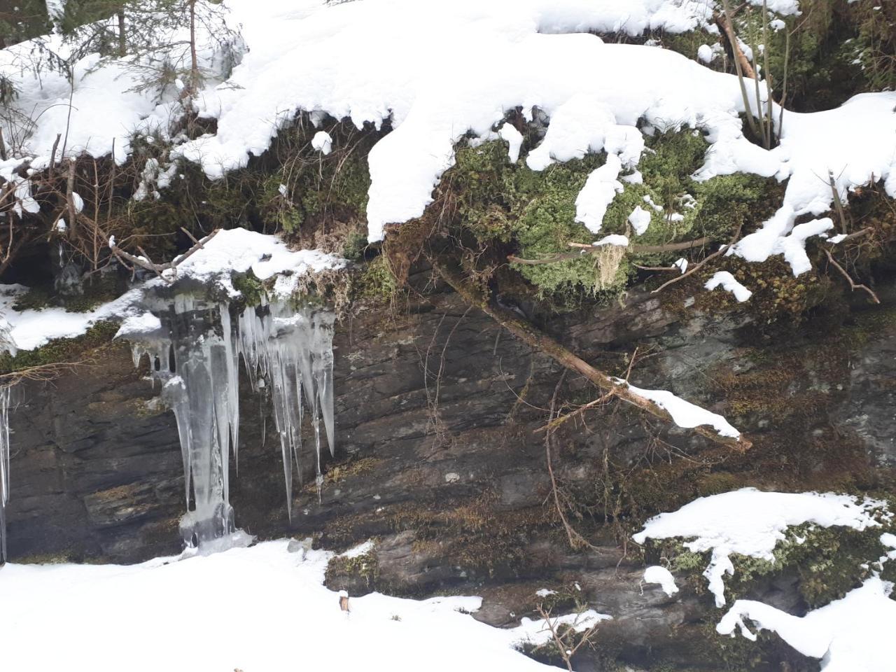 Simonbauerhof Villa Bad Kleinkirchheim Luaran gambar