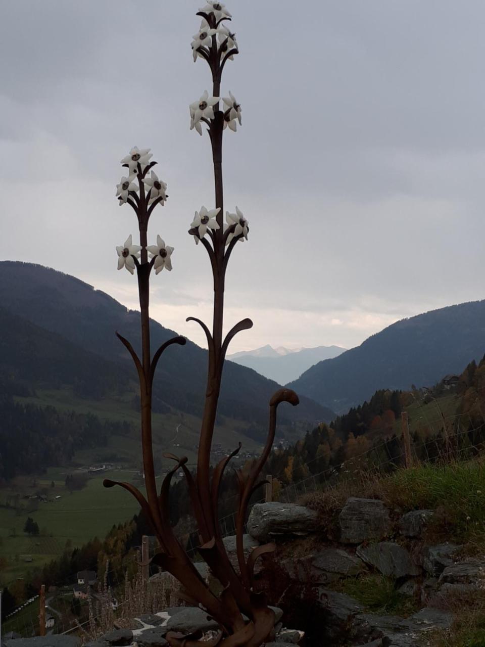 Simonbauerhof Villa Bad Kleinkirchheim Luaran gambar
